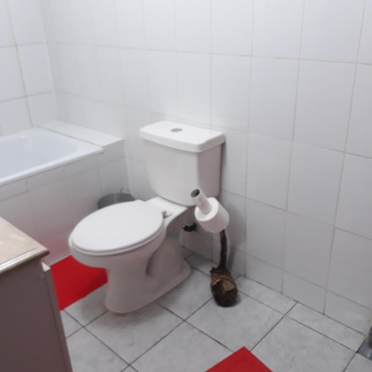 بانغويبولي La Llar Hostel المظهر الخارجي الصورة